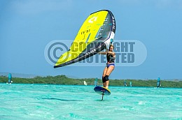 Windsurf Photoshoot 26 Dec 2024