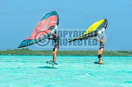 Windsurf Photoshoot 26 Dec 2024